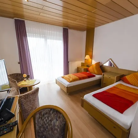 招待所 汉堡包乡村旅馆 3*